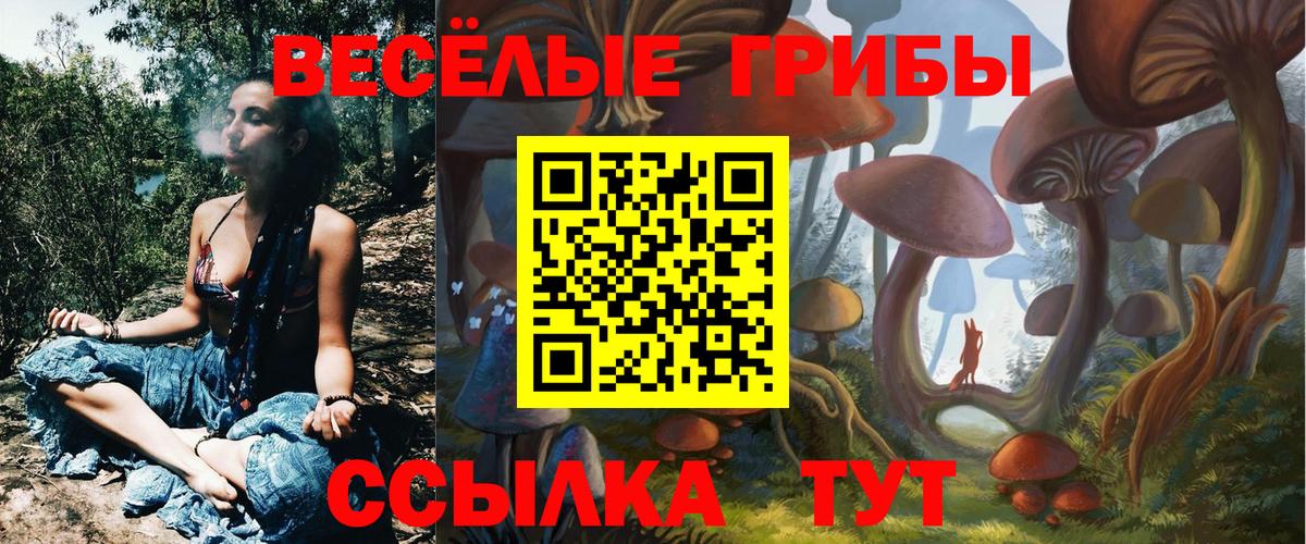 Псилоцибиновые грибы прущие грибы Реутов