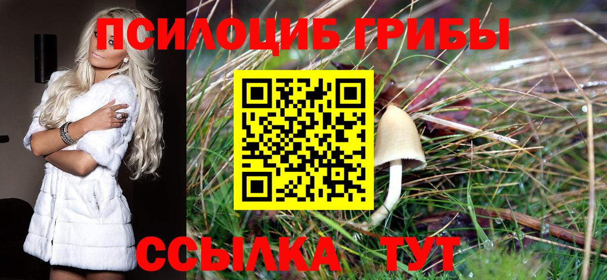 Псилоцибиновые грибы ЛСД  Псилоцибиновые грибы мицелий  Вход с VPN  где купить наркоту  Реутов 